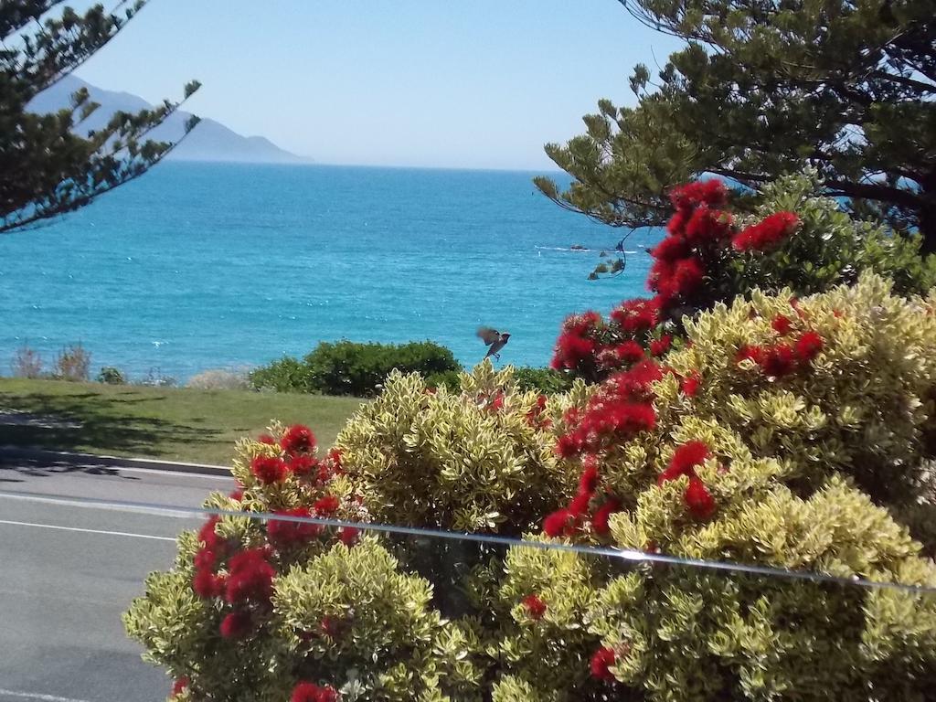 The Hamptons Panzió Kaikoura Szoba fotó